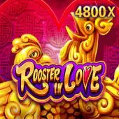 v9bet proshow